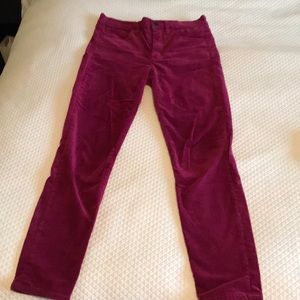 J.Crew Velvet Jeans